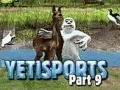 Spēle Yeti Sports: Part 9 - Final Spit