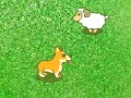 Spēle Dog and sheep