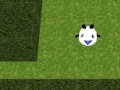 Spēle Panda Hates Mazes