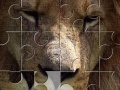 Spēle Lion Jigsaw
