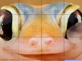 Spēle Pink frog slide puzzle