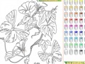 Spēle Kid's coloring: Flowers for Butterflies