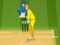 Spēle Cricket 2013