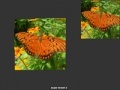 Spēle Orange Butterfly