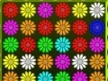 Spēle Flower Action Puzzle