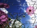 Spēle Puzzle Flowers -1