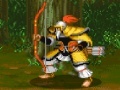 Spēle Dynasty Fighter