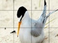 Spēle Orange beak bird slide puzzle