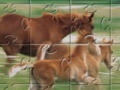 Spēle Horse Family Jigsaw Puzzle