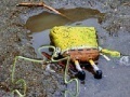 Spēle SpongeBob Found Dead Jigsaw Puzzle