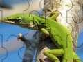Spēle Chameleon On The Tree: Puzzle