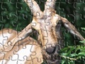 Spēle Happy Goat Jigsaw