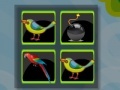 Spēle Bomb Memory-Birds