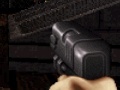 Spēle Duke Nukem: FPS