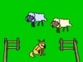 Spēle Sheep!