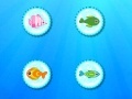 Spēle Color Fish Quest