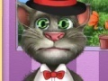 Spēle Tom Cat Role Experience