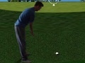 Spēle Flash Golf 3D