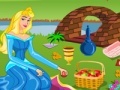 Spēle Princess Aurora. Picnic cleaning