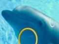 Spēle Dolphin Tale 2 Hidden Alphabets