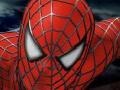 Spēle Spider-man 3: Rescue Mary Jane 