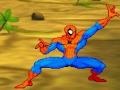 Spēle Spiderman: Hero Training 