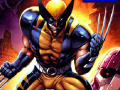 Spēle Wolverine Differences 