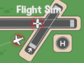 Spēle Flight Sim