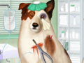 Spēle Doctor For Dog With a Blog