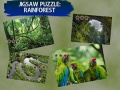 Spēle Jigsaw Puzzle Rain Forest 