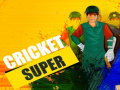 Spēle Super Cricket      