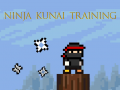 Spēle Ninja Kunai Training