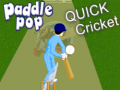 Spēle Paddle Pop Quick Cricket