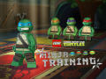 Spēle Teenage Mutant Ninja Turtles: Ninja Training