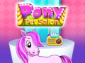 Spēle Pony Pet Salon