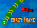 Spēle Crazy Snake
