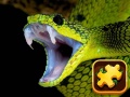 Spēle Snake Puzzle Challenge
