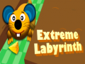 Spēle Extreme Labyrinth