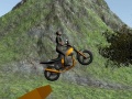 Spēle Dirt Bike Rider