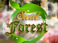 Spēle Secret Forest