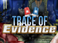 Spēle Trace of Evidence