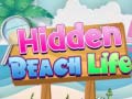 Spēle Hidden Beach Life
