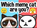 Spēle Which Meme Cat Are You?