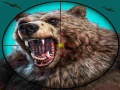 Spēle Wild Bear Hunting