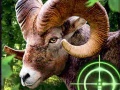 Spēle Crazy Goat Hunter 2020