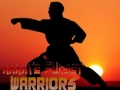 Spēle Karate Sunset Warriors