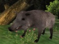Spēle Wild boar Hunting