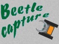Spēle Beetle Capture