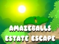 Spēle Amazeballs Estate Escape
