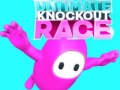 Spēle Ultimate Knockout Race